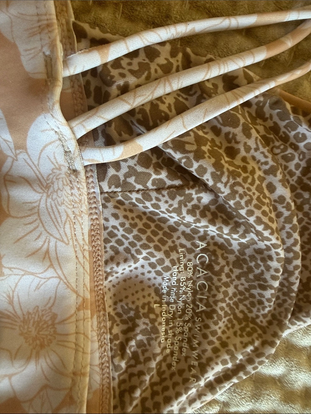 Acacia bikini - Picture 7 of 8